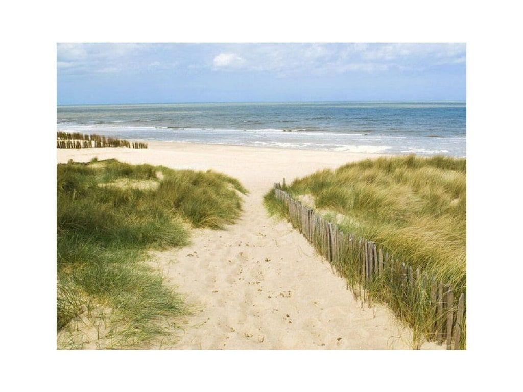 293563 in De Koog, Texel - Foto 15 van 19