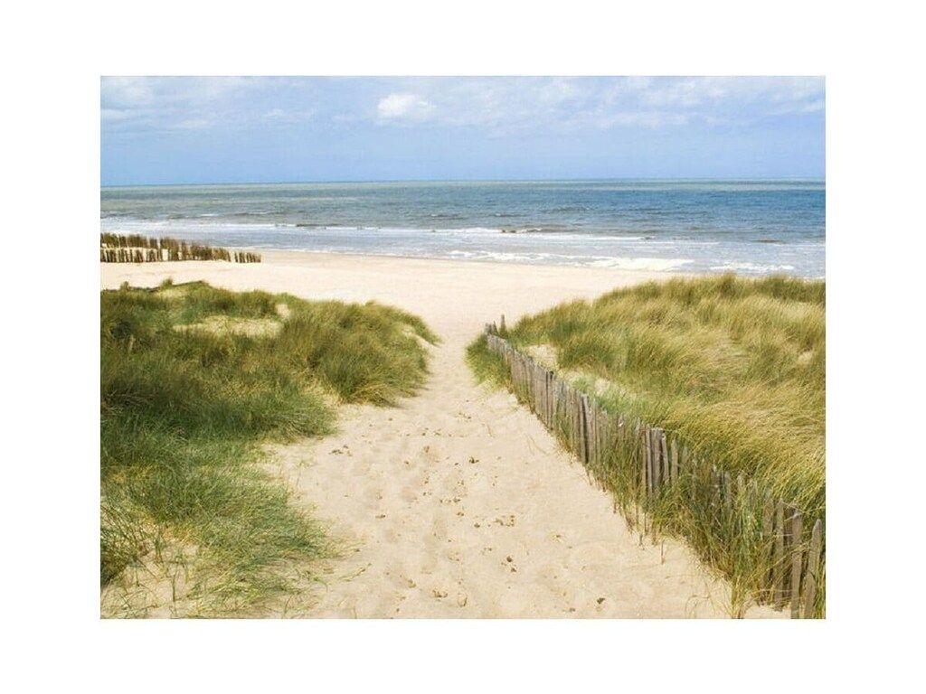 293564 in De Koog, Texel - Foto 11 van 14