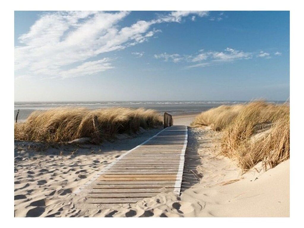 293564 in De Koog, Texel - Foto 12 van 14