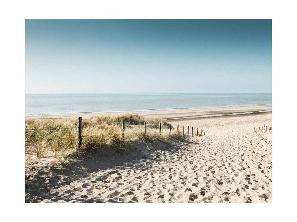 293575 in Noordwijk aan zee - Foto 14 van 15