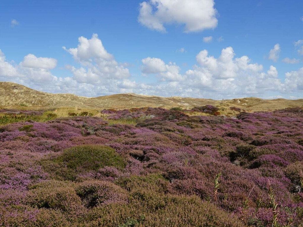 279766 in De Cocksdorp - Foto 35 van 40
