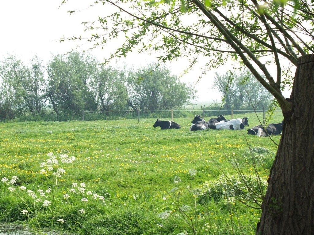 3398 in Warder - Foto 7 van 24