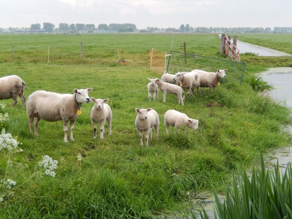 3398 in Warder - Foto 19 van 24