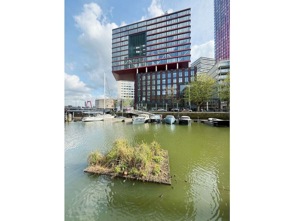 804660 in Rotterdam - Foto 9 van 14