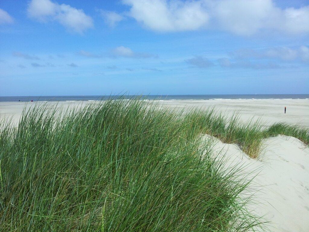 107137 in LL Ouddorp - Foto 16 van 18