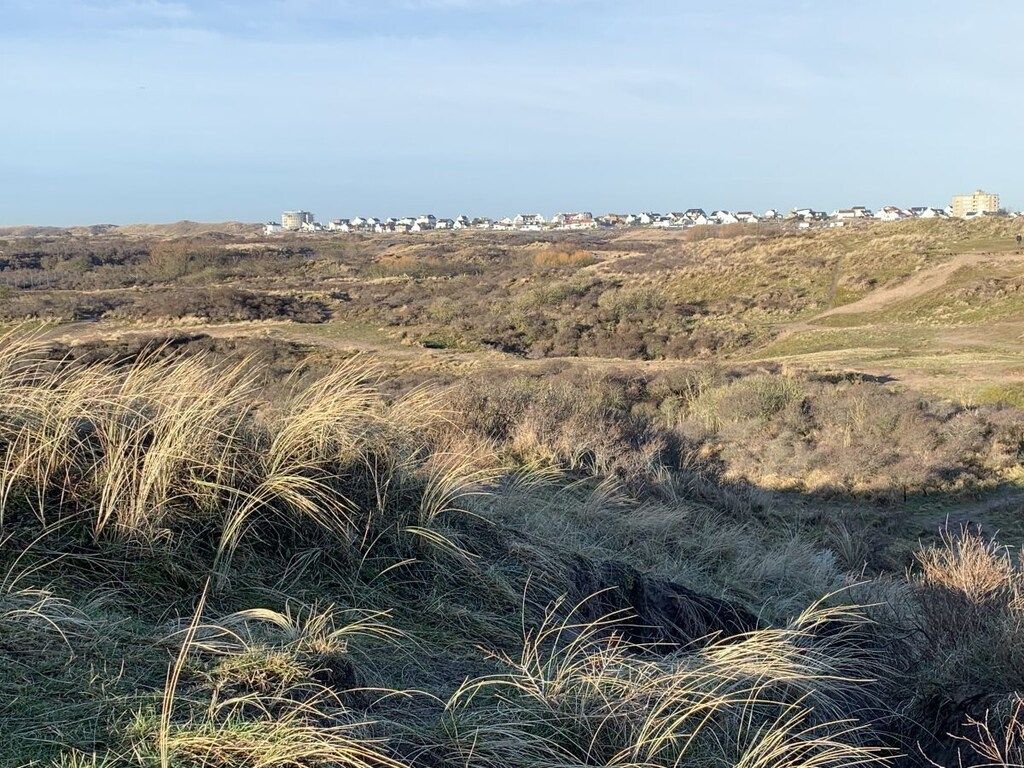 321576 in Zandvoort - Foto 15 van 22