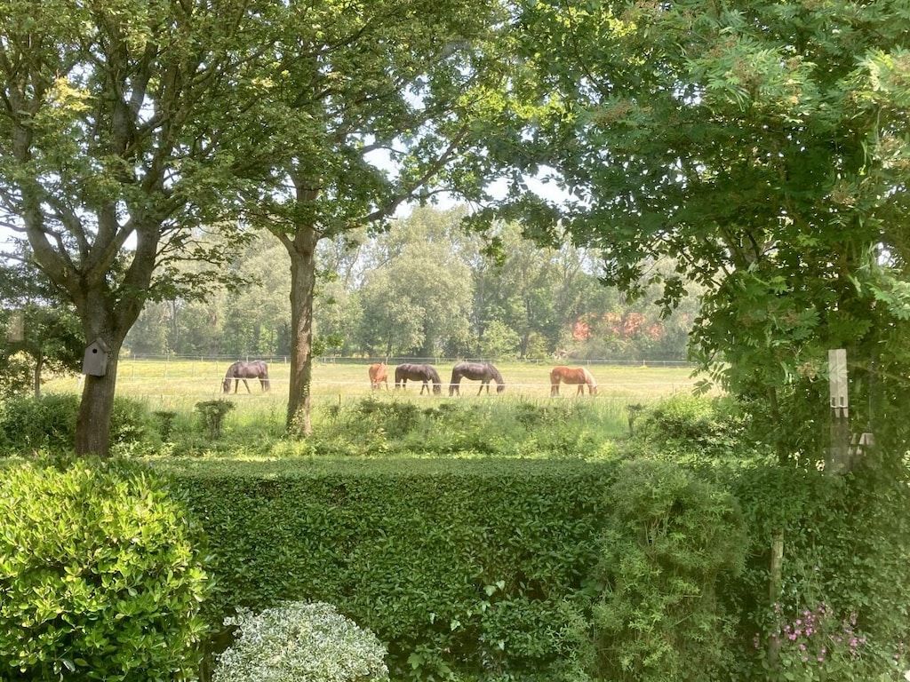 52572 in Oostkapelle - Foto 11 van 43