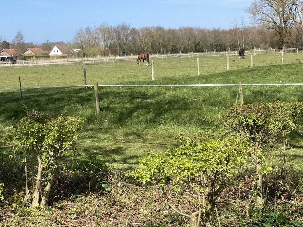52572 in Oostkapelle - Foto 38 van 43