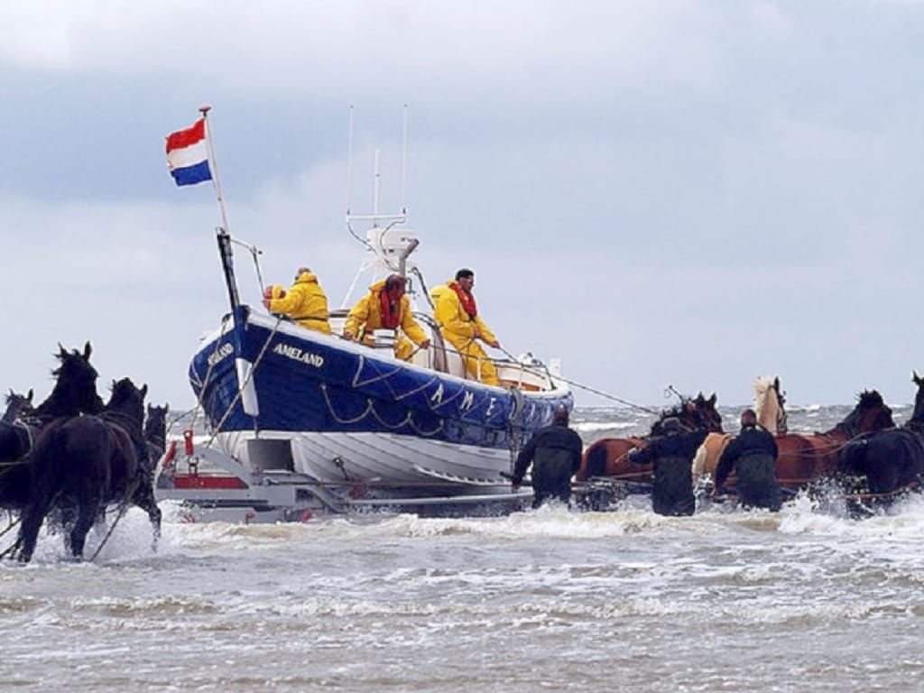 84318 in Ameland - Foto 18 van 31