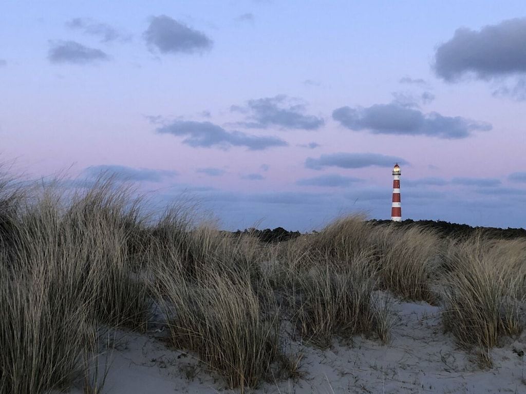 84318 in Ameland - Foto 23 van 31