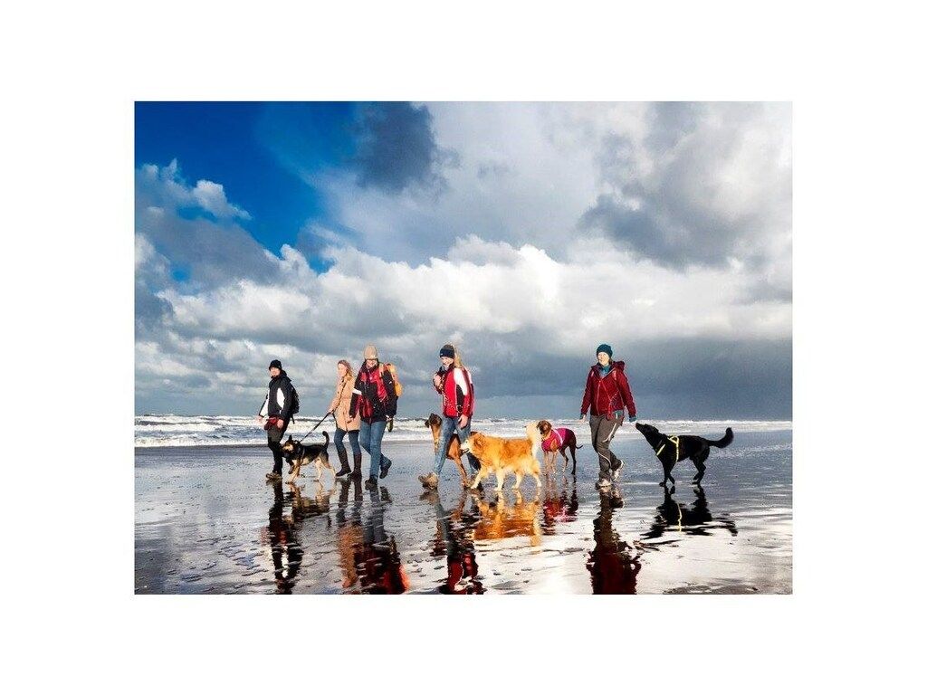 273108 in Noordwijk - Foto 14 van 25