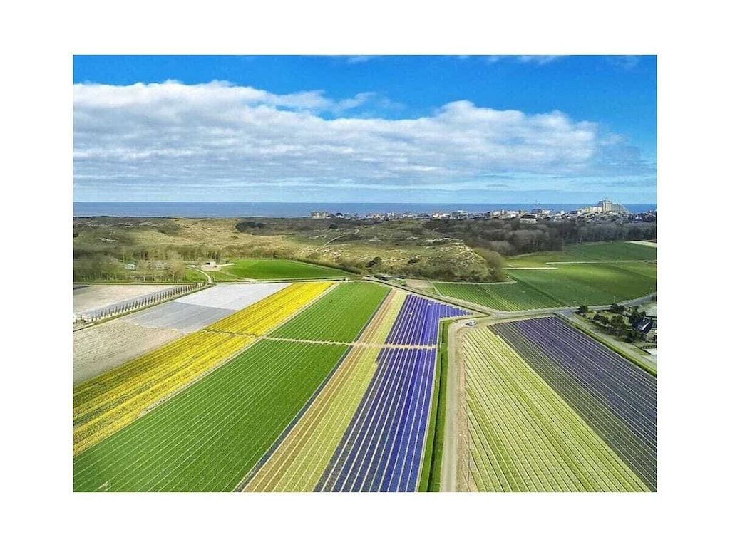 273108 in Noordwijk - Foto 22 van 25