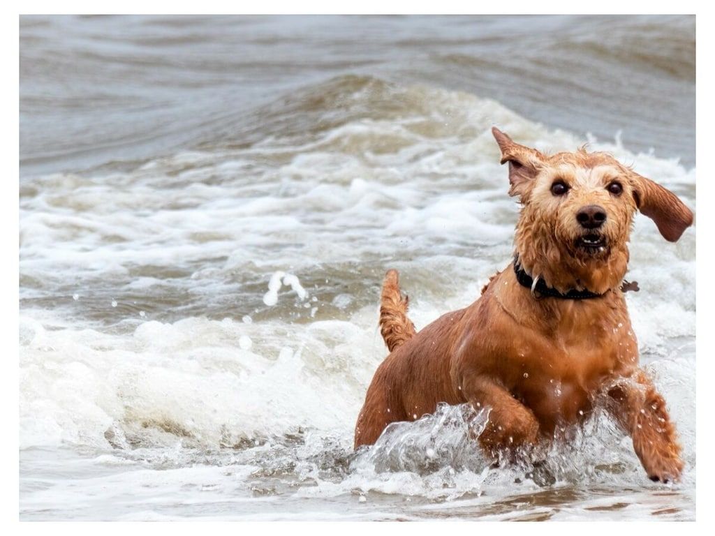 273108 in Noordwijk - Foto 24 van 25
