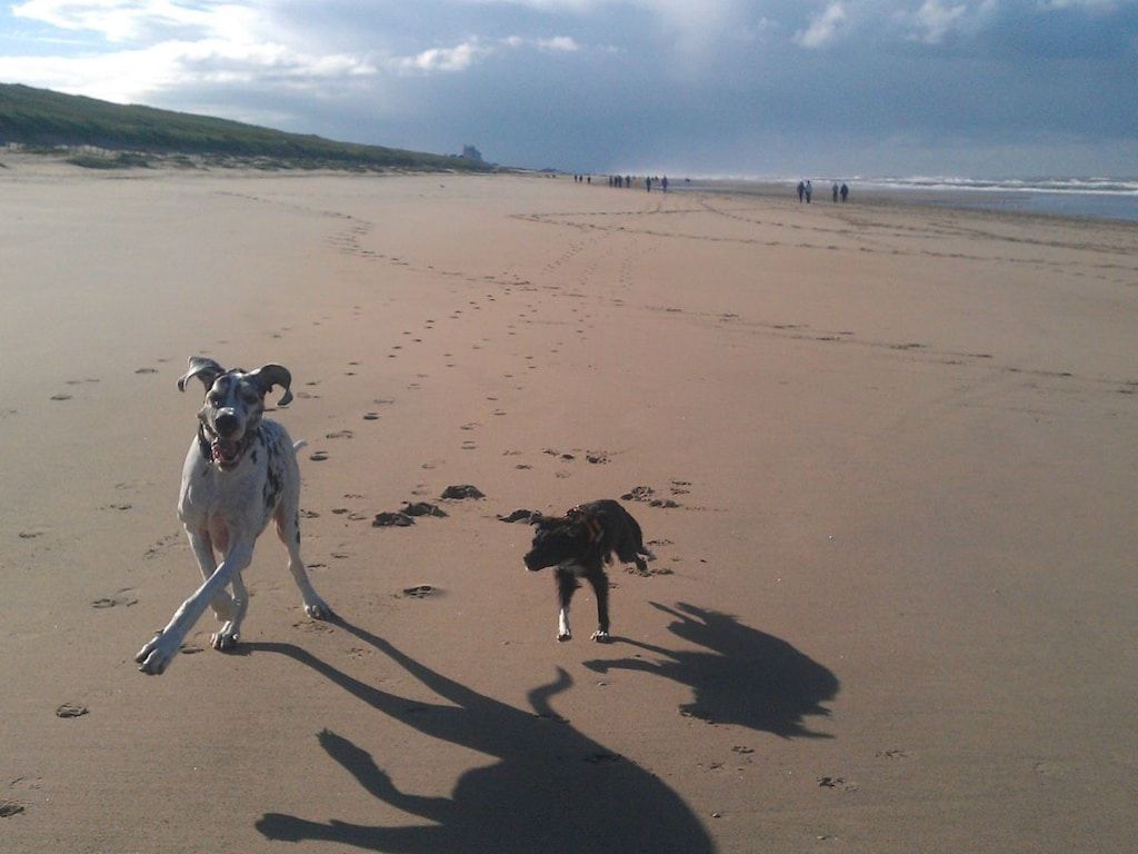 148676 in Noordwijk - Foto 16 van 21