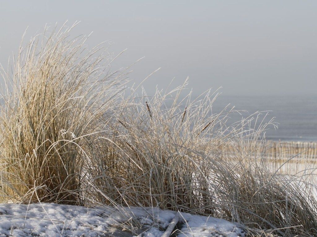 233044 in Noordwijk - Foto 17 van 17