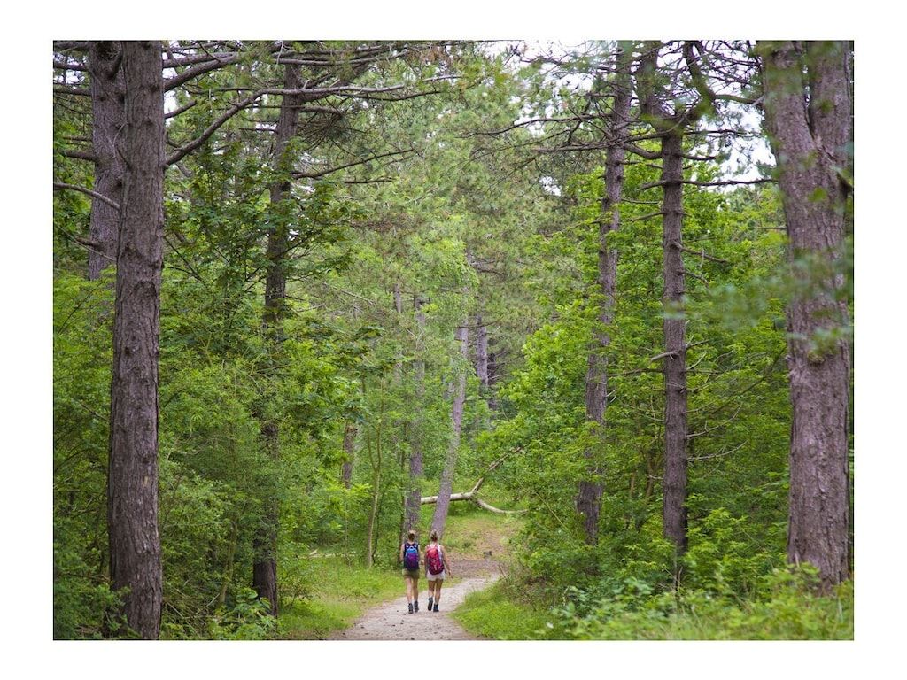 241556 in Noordwijk ZH - Foto 19 van 23