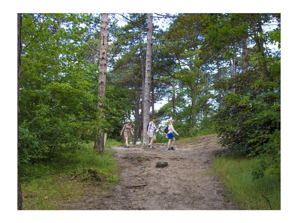 273150 in Noordwijk ZH - Foto 19 van 21