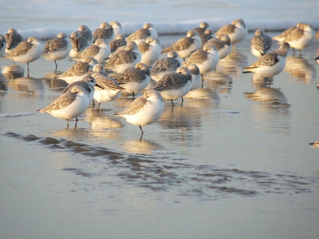 324632 in Noordwijk ZH - Foto 23 van 27