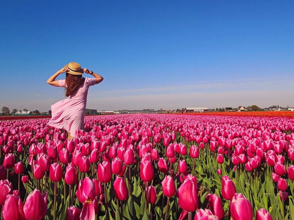 636177 in Noordwijk - Foto 20 van 21