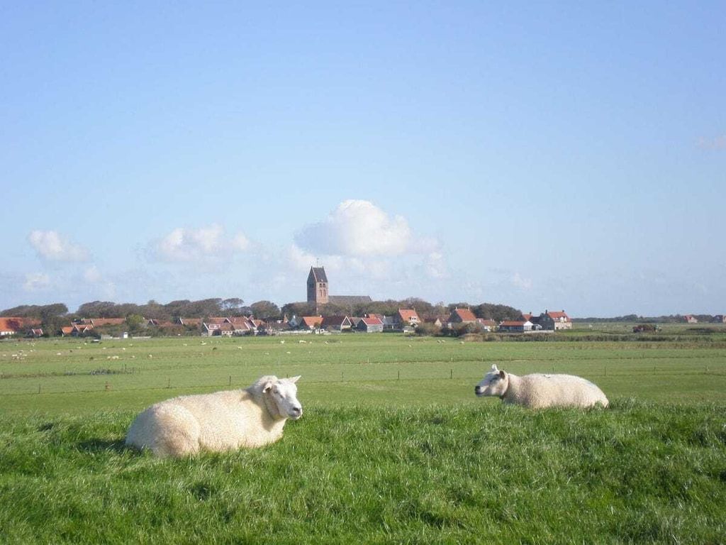 116328 in Buren Ameland - Foto 21 van 23