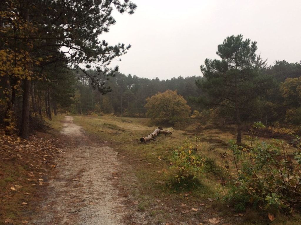 22802 in Schoorl NH - Foto 24 van 28