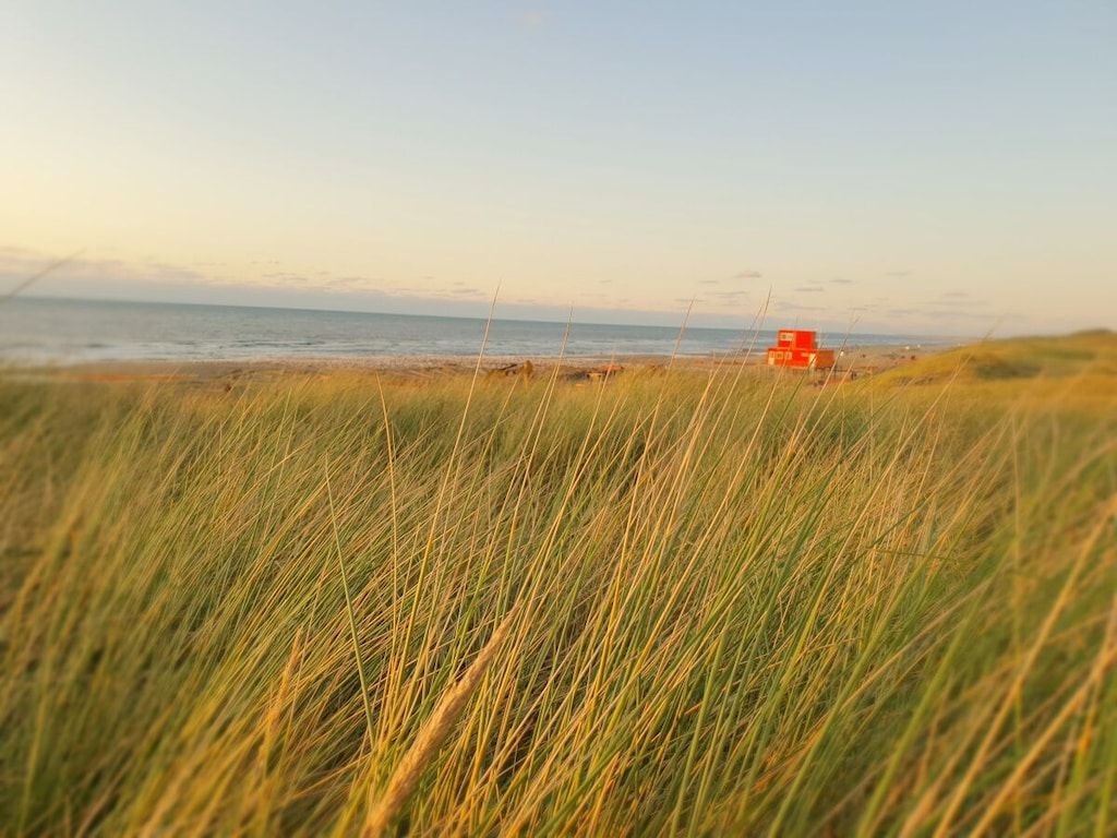 298377 in Callantsoog - Foto 25 van 41