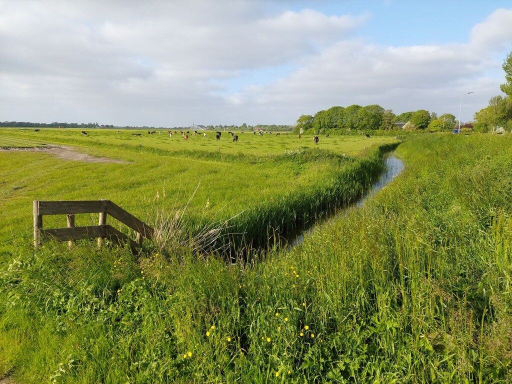 469144 in Sint Maartenszee - Foto 31 van 44