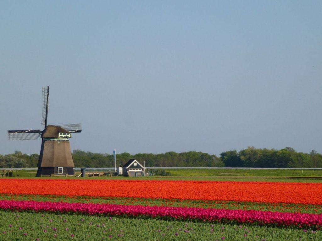 206821 in Petten - Foto 19 van 21