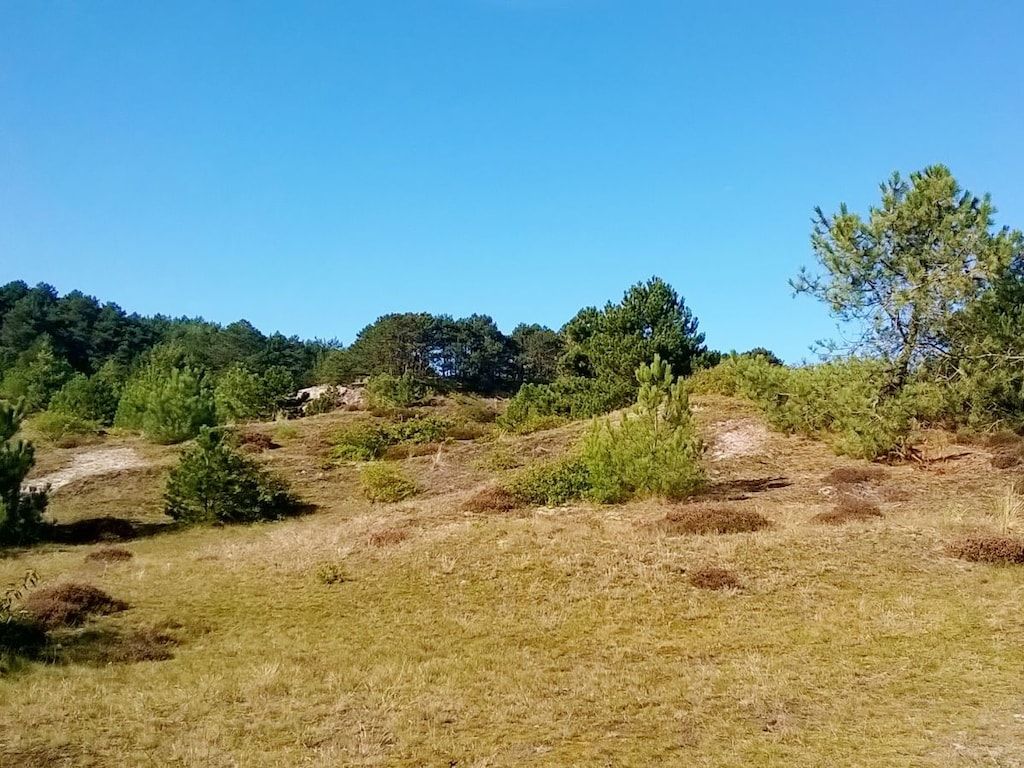 206821 in Petten - Foto 18 van 21
