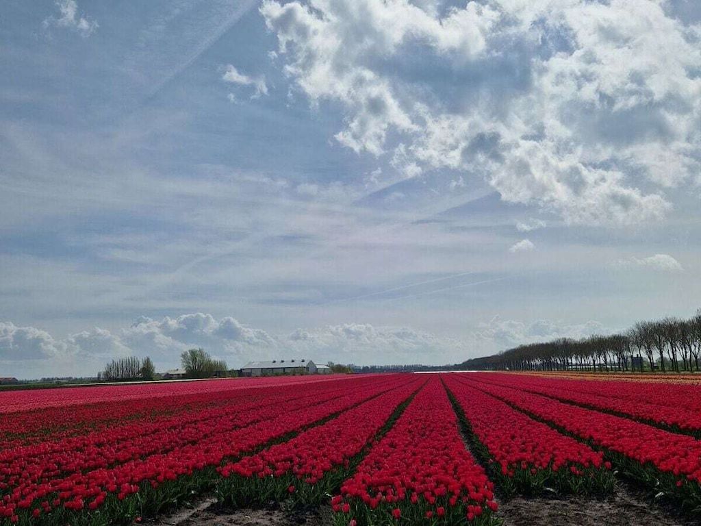 312957 in CG Wervershoof - Foto 36 van 41