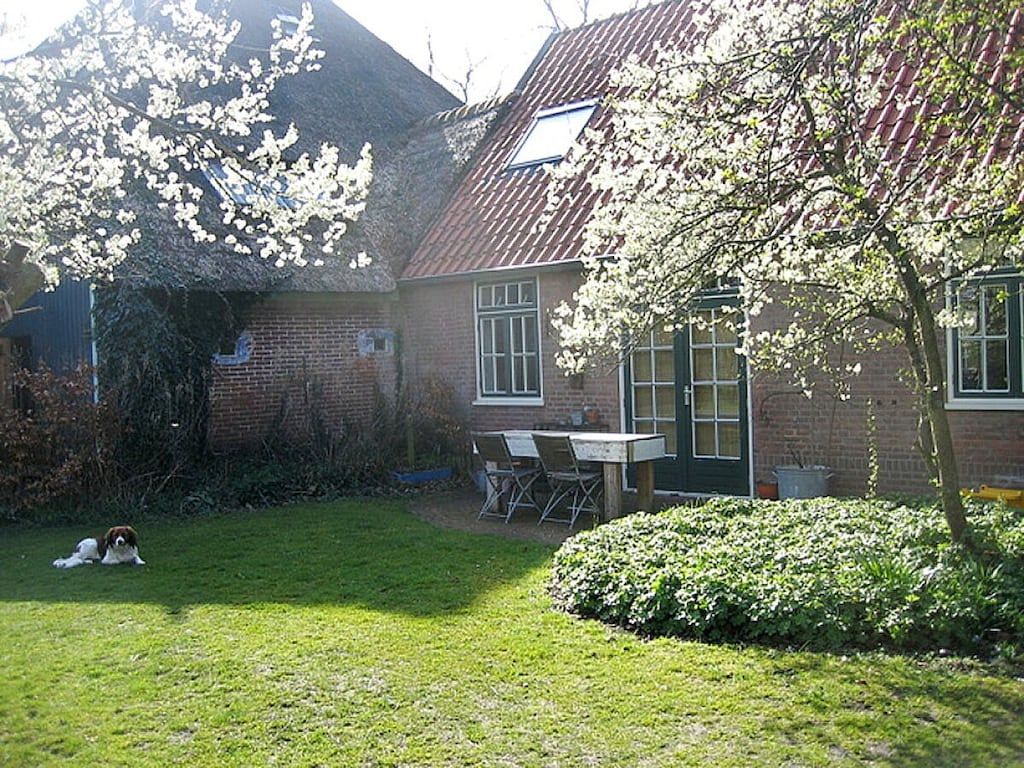 25873 in Groet - Foto 2 van 21
