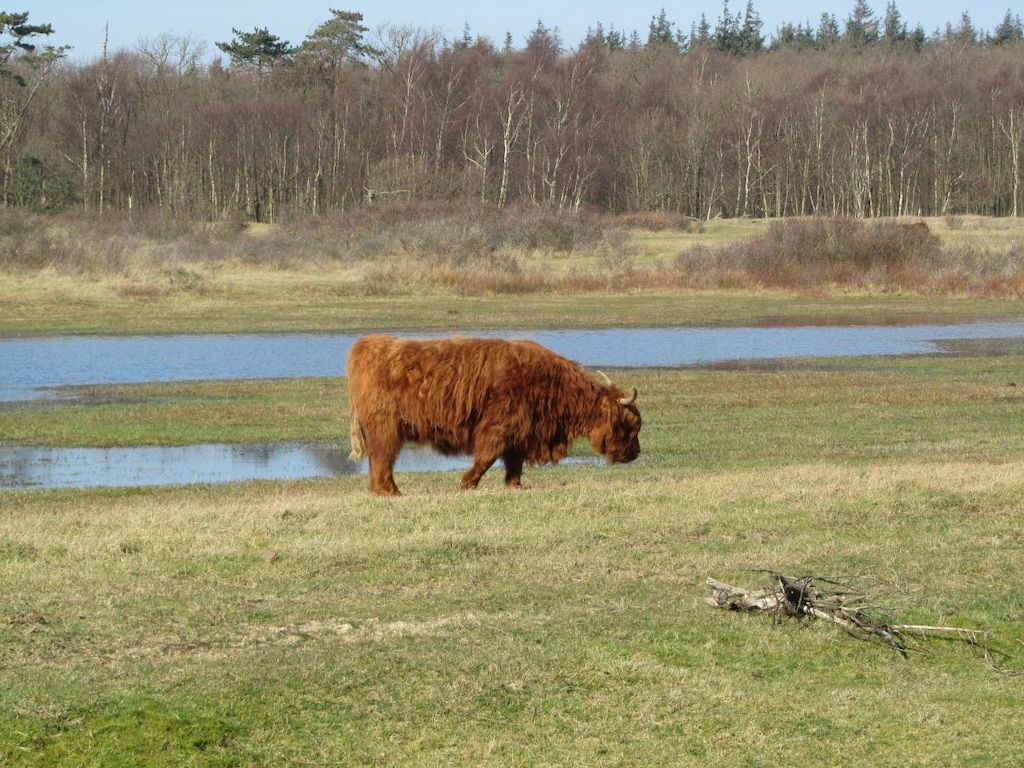 169161 in Castricum - Foto 13 van 21