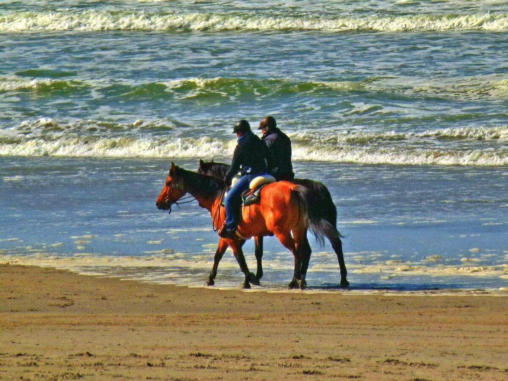 62200 in Buren \/ Ameland - Foto 19 van 28