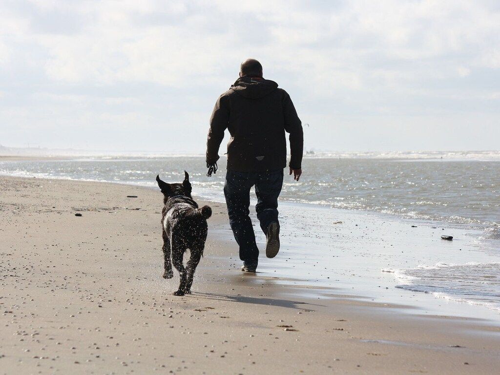 52718 in Noordwijk - Foto 18 van 22