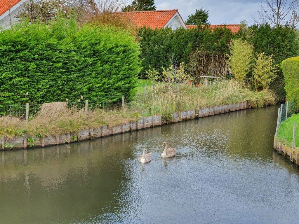 278189 in Noordwijk - Foto 21 van 35
