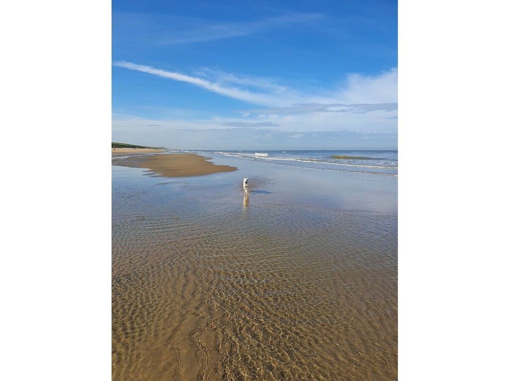 278189 in Noordwijk - Foto 26 van 35