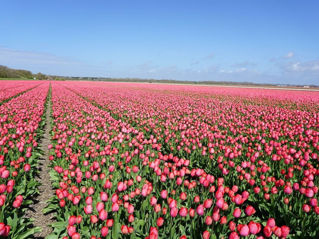 128034 in Nord-Holland - Foto 23 van 31