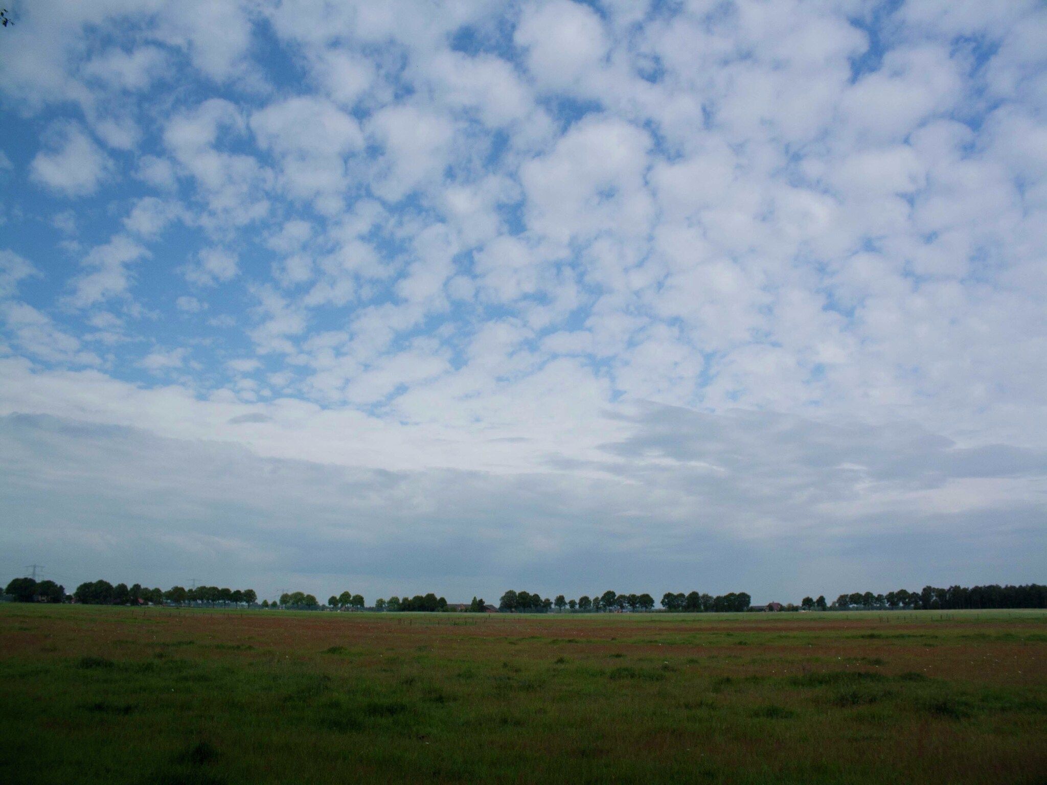 De omgeving van Buitenplaats Berg en Bos nummer 43 in Overijssel