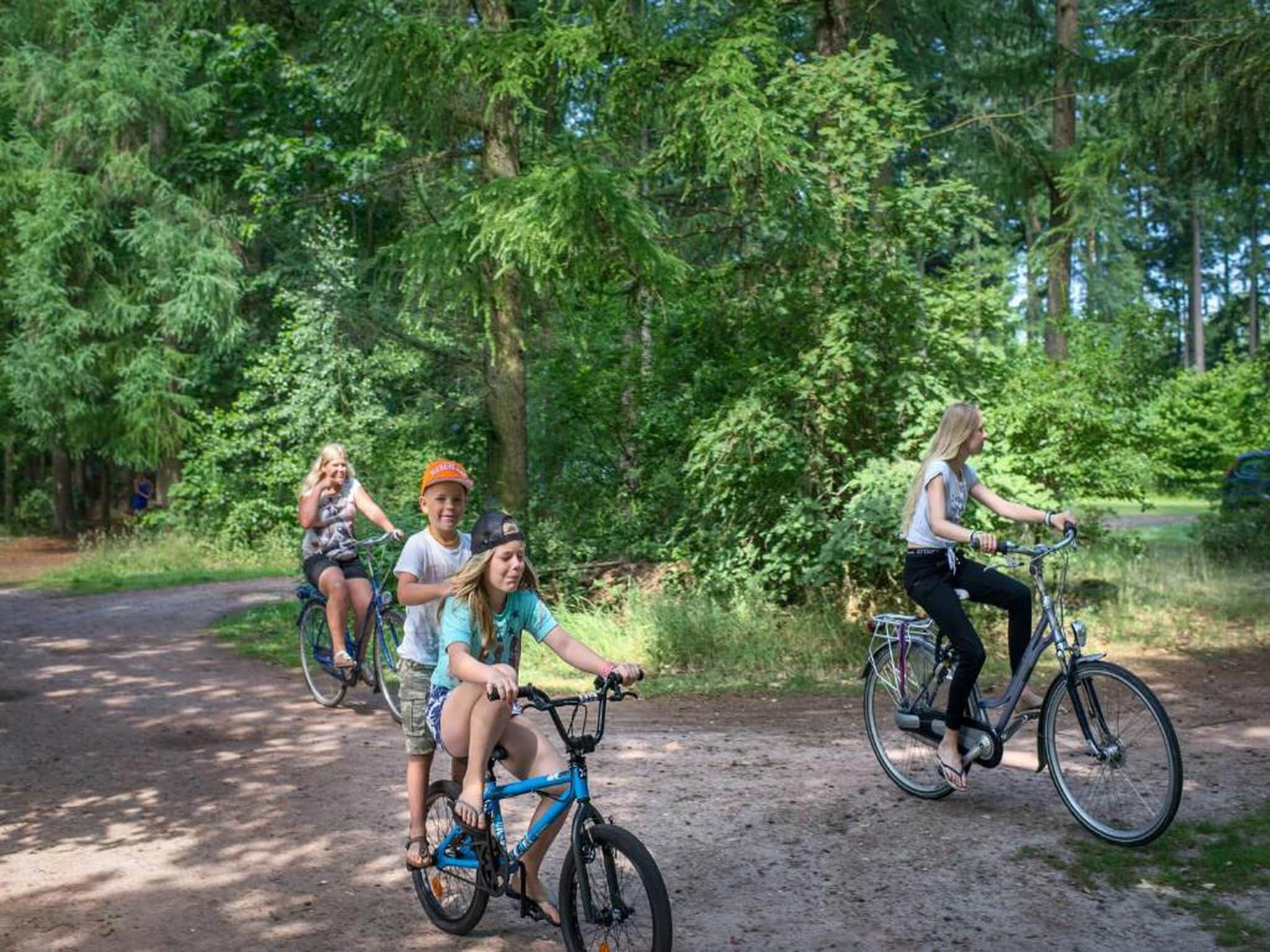 RCN Vakantiepark de Roggeberg 4 in Appelscha - Foto 40 van 40