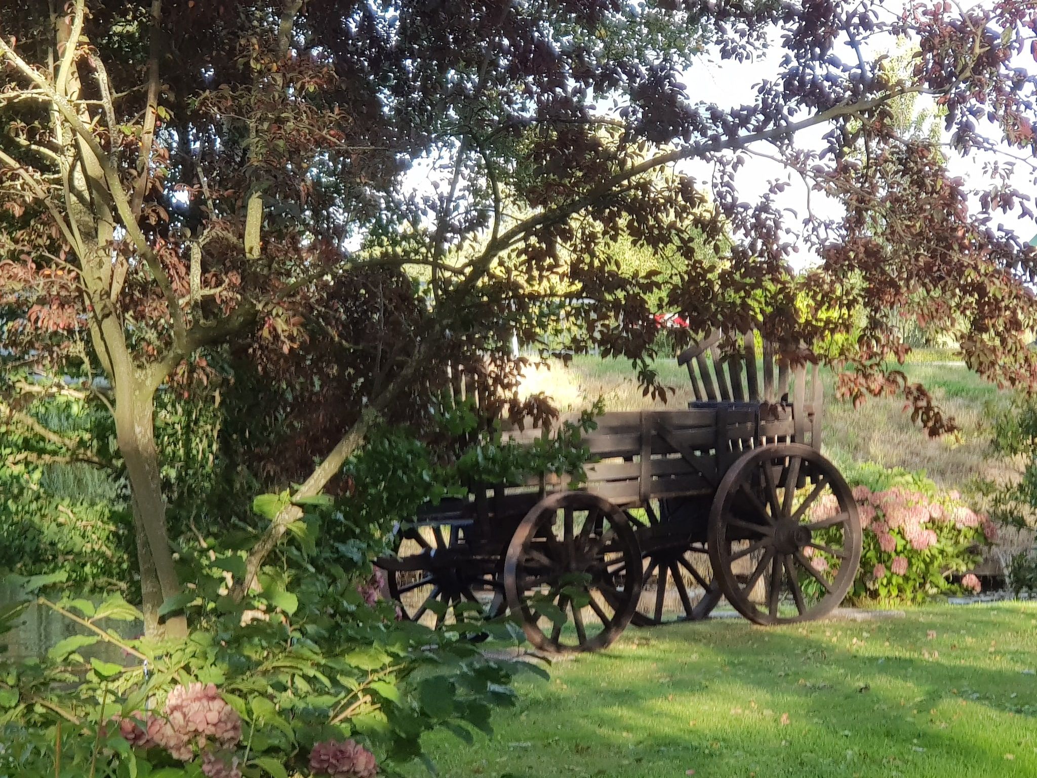De tuin van Hoeve Ginette in Giethoorn