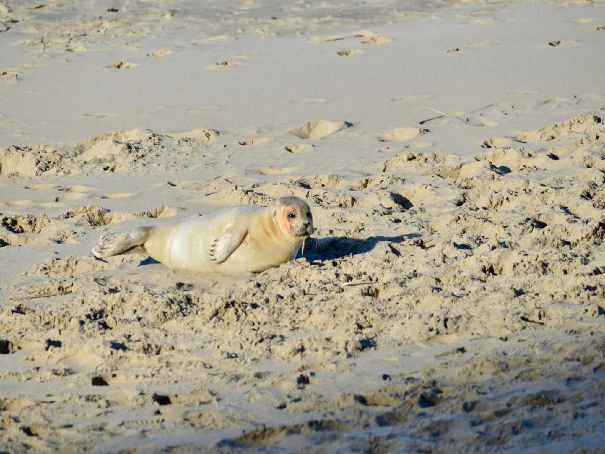 Appartement - Burg van Woelderenlaan 100-4 in Vlissingen - Foto 33 van 40