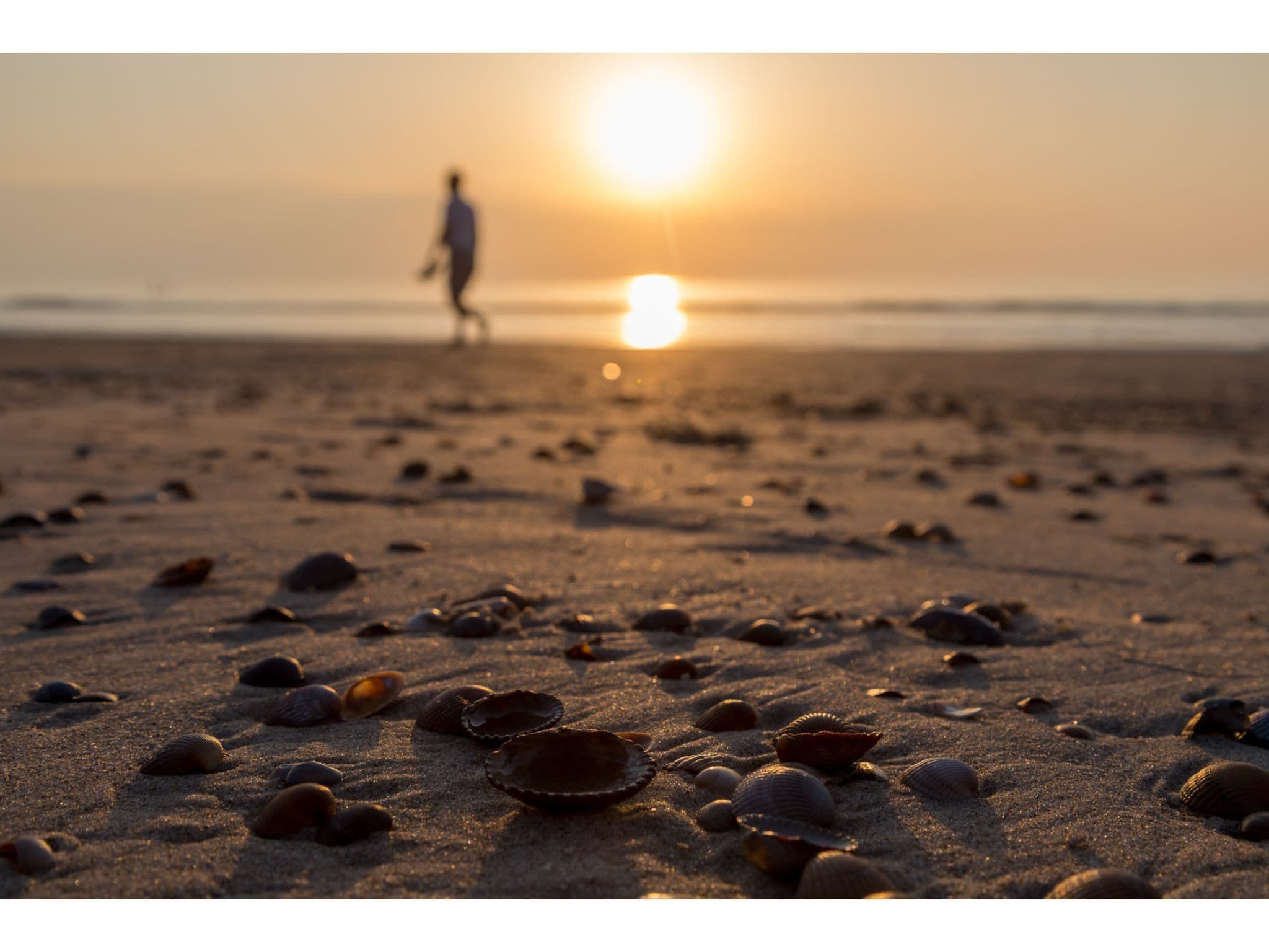 Piet Mondriaanstraat 6a in Domburg - Foto 26 van 40