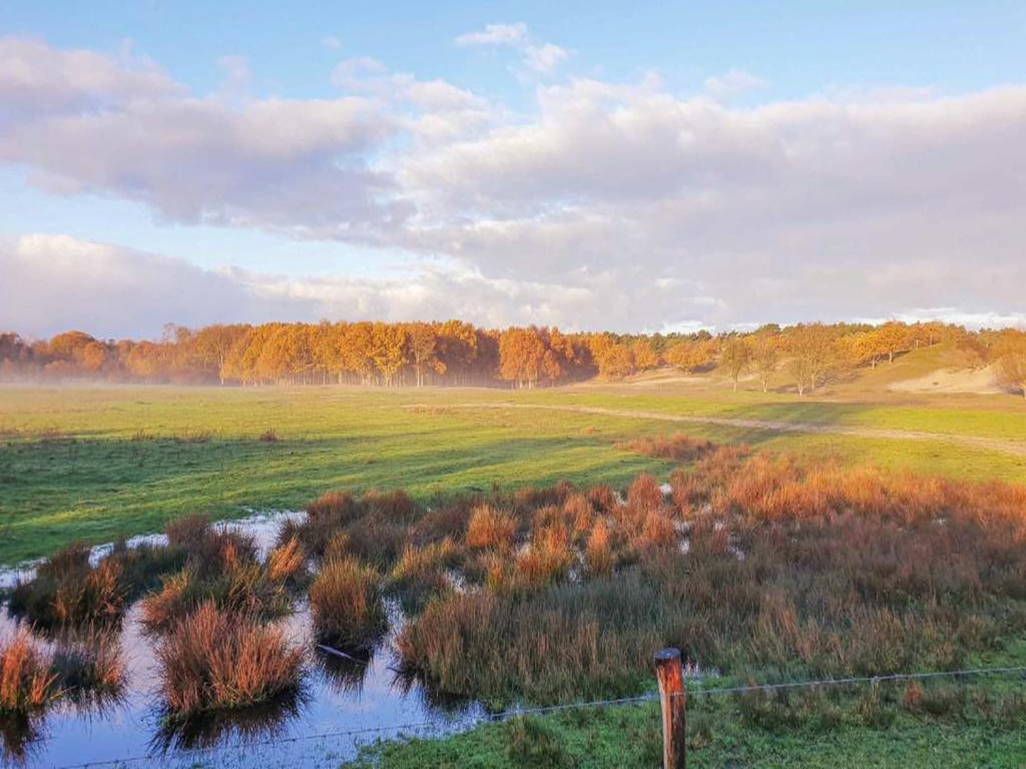 Piet Mondriaanstraat 6a in Domburg - Foto 29 van 40