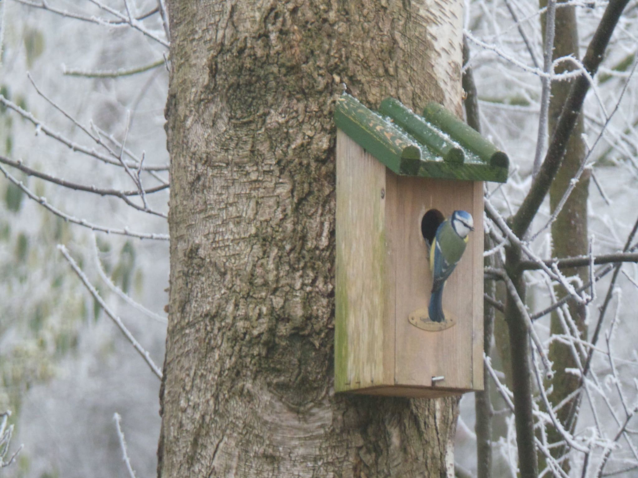 De tuin van Buitenplaats Berg en Bos nummer 15 in Lemele