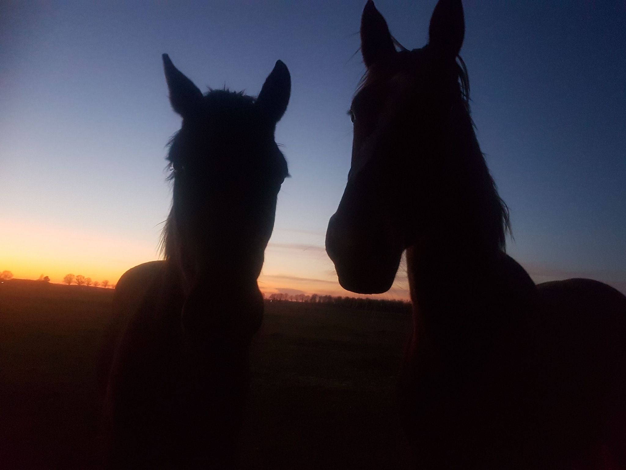 Het uitzicht vanaf Buitenplaats Berg en Bos nummer 18 in Lemele