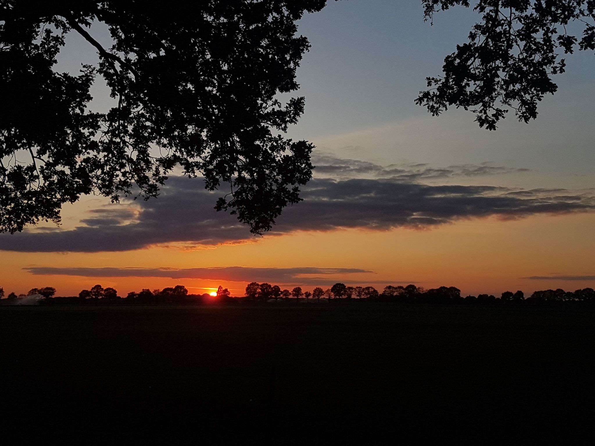 Het uitzicht vanaf Buitenplaats Berg en Bos nummer 18 in Lemele