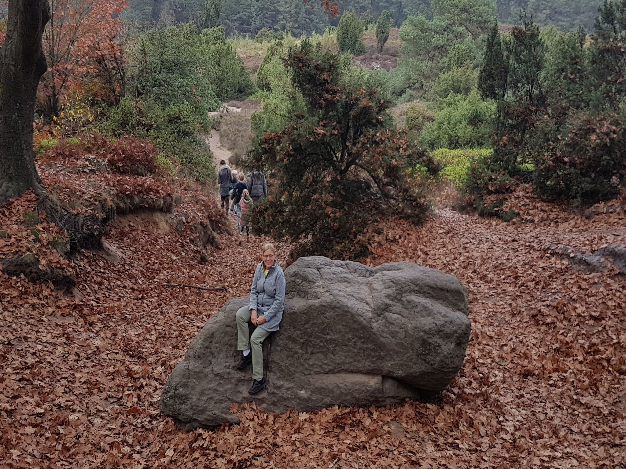 De omgeving van Buitenplaats Berg en Bos nummer 18 in Lemele