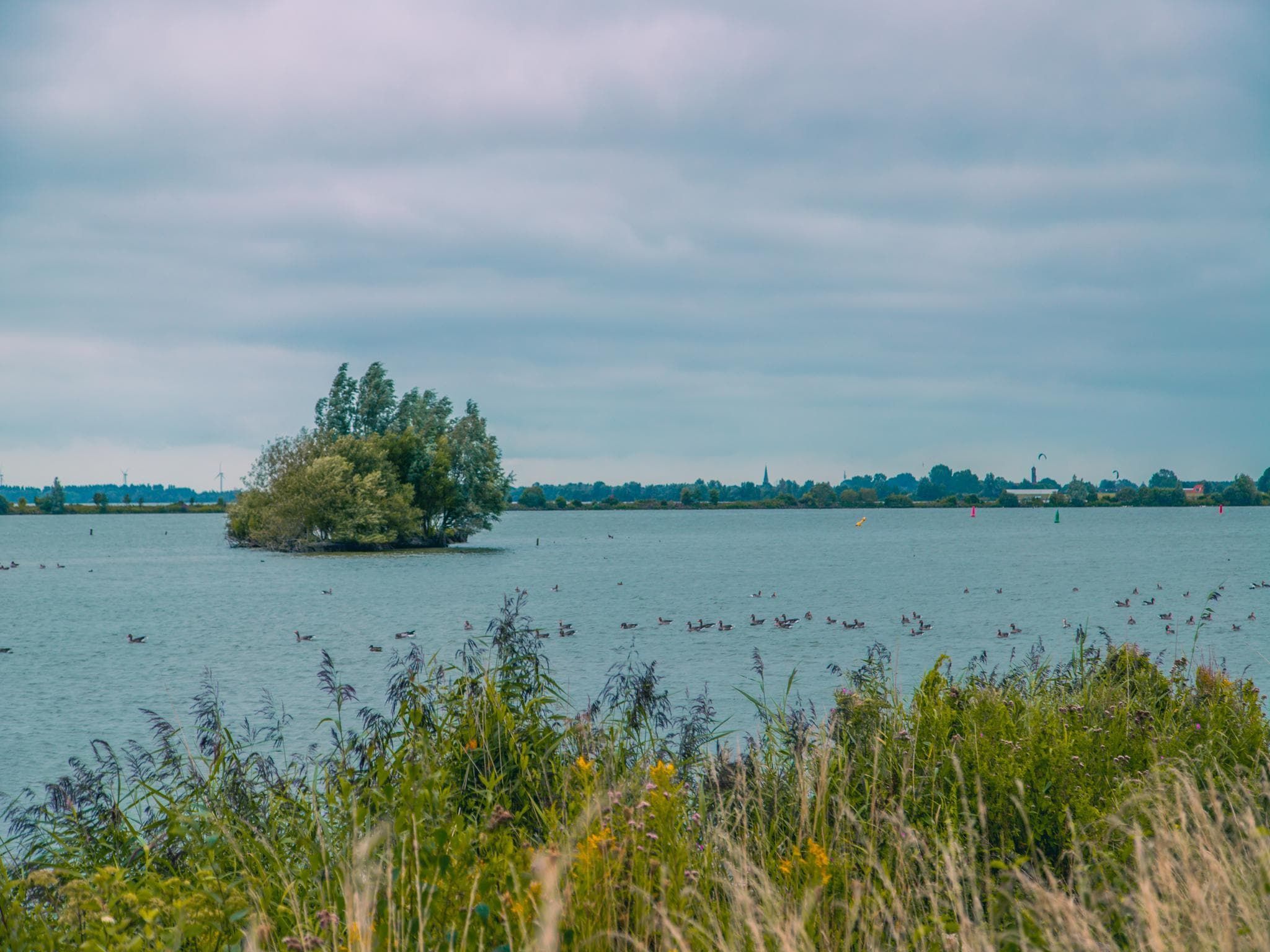 De omgeving van Watervilla 8 in Medemblik