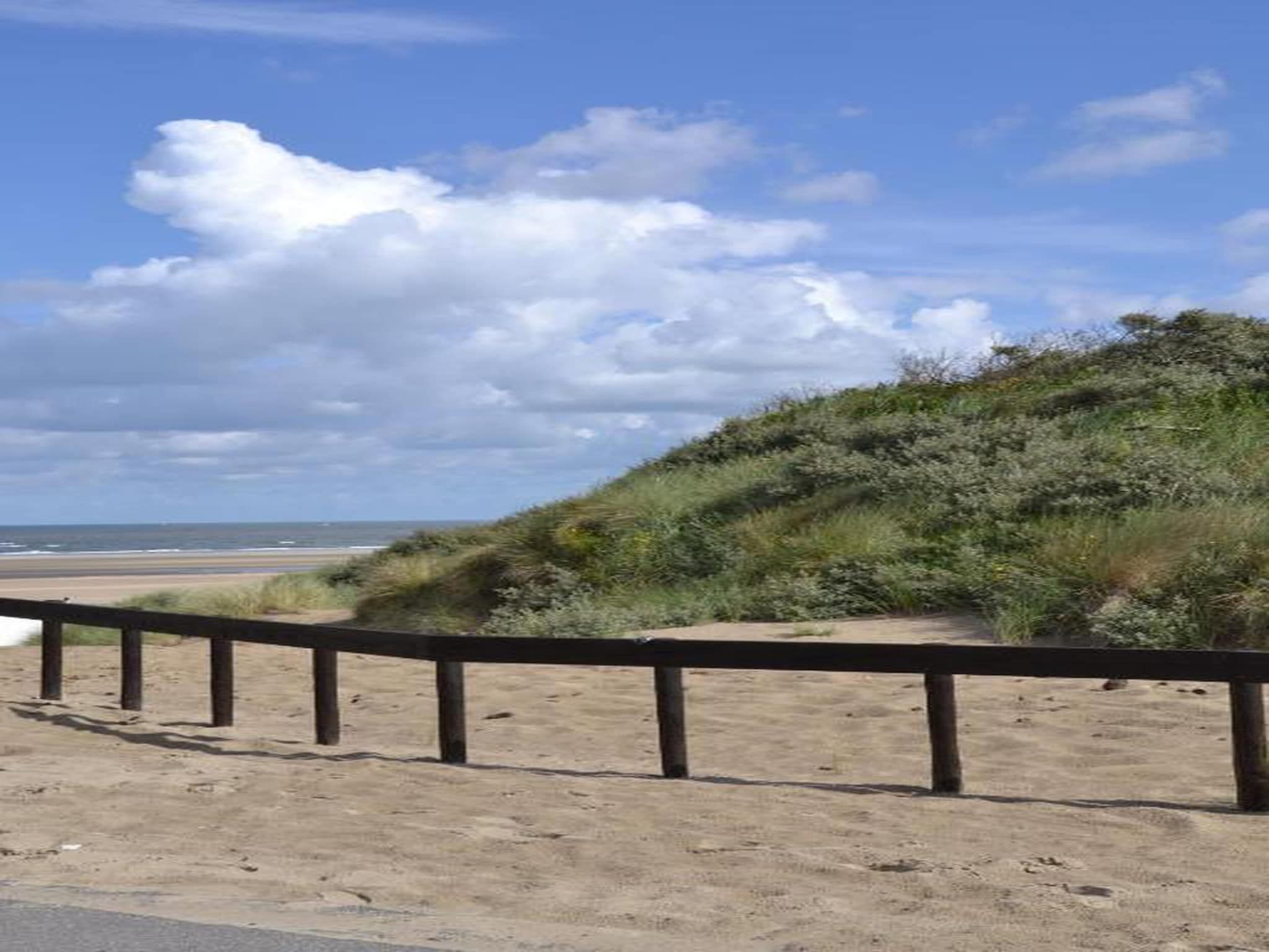 Lepelblad 7 in Nieuwvlietbad - Foto 34 van 42