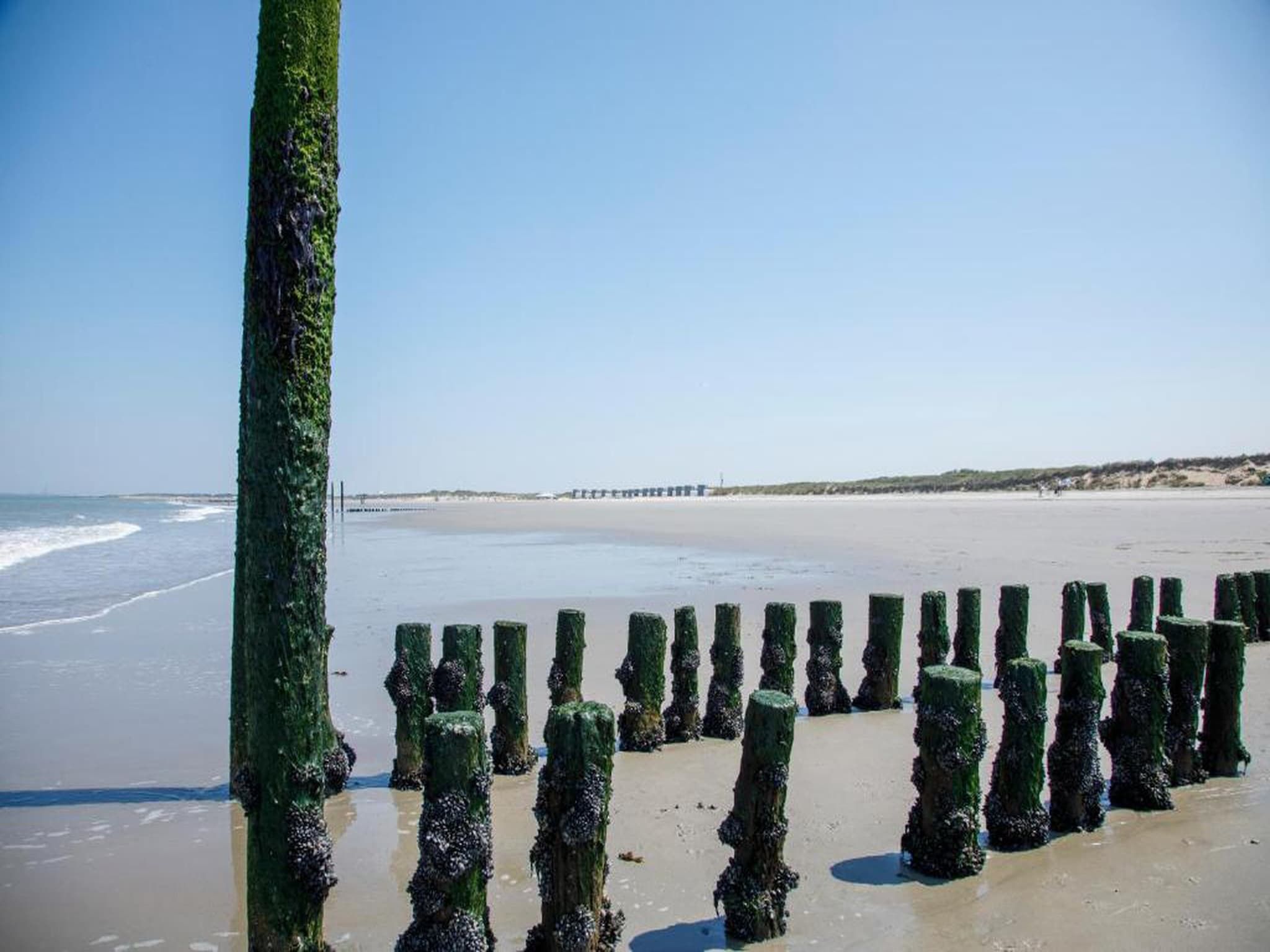 Lepelblad 7 in Nieuwvlietbad - Foto 37 van 42